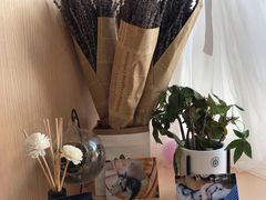 门面-Husky Go! 哈士奇体验馆·宠物咖啡厅狗咖