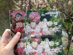 -南汇桃花村