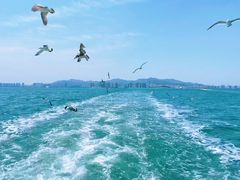 -刘公岛景区