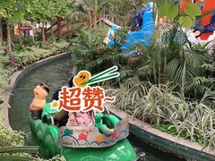 -南宫五洲植物乐园