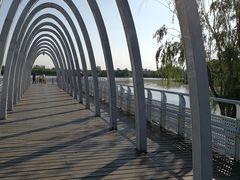 -大兴滨河森林公园