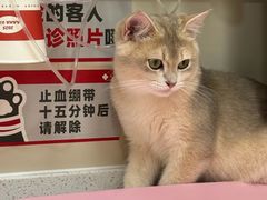 -御宝贝24h宠物医院·转诊中心·CT核磁血透中心(厦门总院)