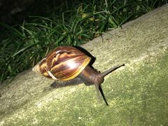 -广州市干部健康管理中心