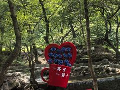 -红崖峡谷景区