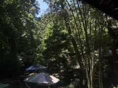 -峨眉山报国寺