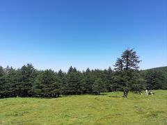 -芦芽山旅游度假区