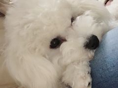 -康乐宝动物医院