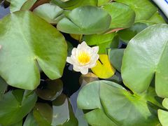 -终南山南五台景区