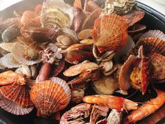 -大锅强·蒸海鲜青岛菜(吾悦广场店)