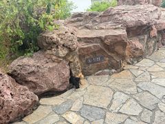 -芥子园