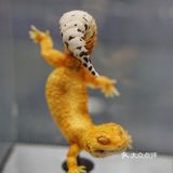 北京Dream fair 2021玩具展~ | 萌物设计合集