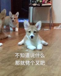 -川和潮人漂色·烫染·接发