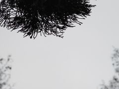 -和平公园