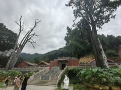 -灵光寺