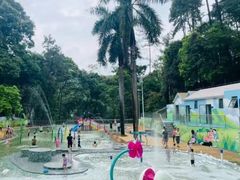 -广州市流溪河国家森林公园