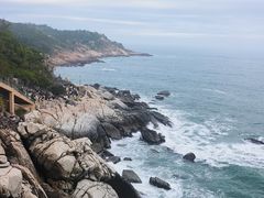 -广东惠东海龟国家级自然保护区