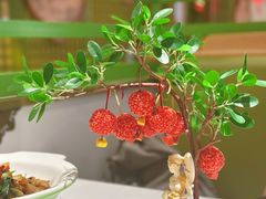 红尘妃子笑-奔跑吧陕菜·盛世长安(民乐园万达店)