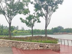 -东郊湿地公园