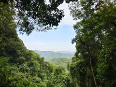 -广州市帽峰山景区