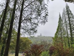 -苏州上方山国家森林公园