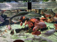 -太平洋海底世界