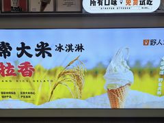 -野人先生现做冰淇淋(北京悠唐购物中心店)