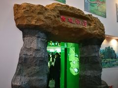 -嘉荫恐龙国家地质公园