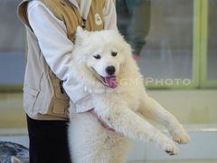 -怪兽屋·羊驼·猫咖·狗咖(俊华广场店)