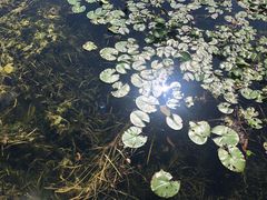 -贵阳市花溪国家城市湿地公园