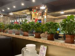 大堂-烹然四季椰子鸡火锅(团结湖总店)