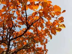 -香山公园-东宫门售票处