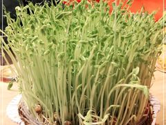 -好彩猪肚鸡(正弘城店)