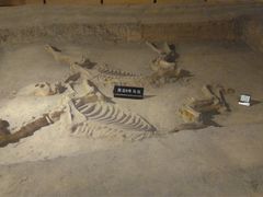 -洛阳周王城天子驾六博物馆