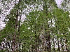 -金陵矩阵(聚宝山公园店)