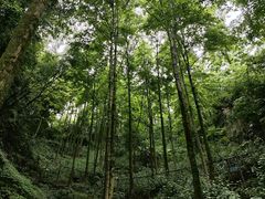 -清江方山景区