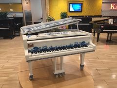 -柏斯音乐艺术中心·钢琴·吉他(世纪金源店)