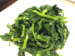 清炒豆苗-鼎泰丰(渔阳店)