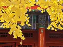 -承恩寺