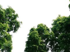 -郑州植物园