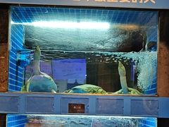 -新安人家·22年本地餐厅