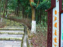 -广州白江湖森林公园