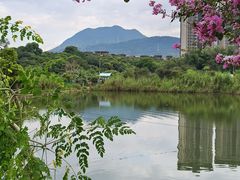 -大王岭农庄