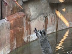 -长鹿旅游休博园