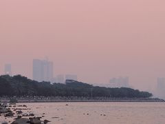 -深圳湾公园(南山区)
