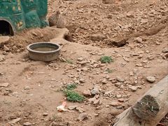 -无锡动物园·太湖欢乐园