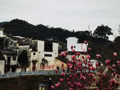 -石潭村