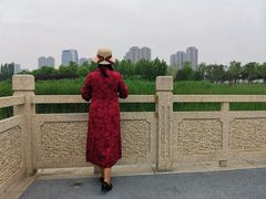 -保定东湖公园(莲池区)