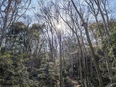 -九曜山