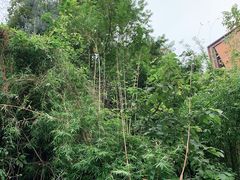 -阿哈湖国家湿地公园