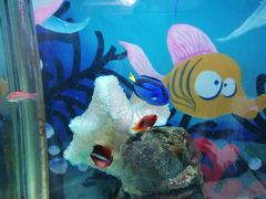 -太平洋海底世界